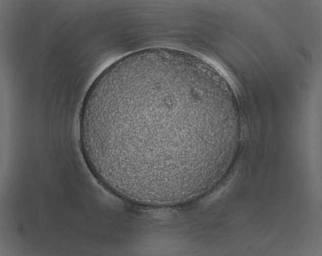 X0000116580999200912241650