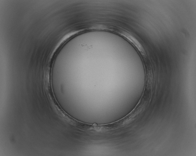 X0000116581000200912241650