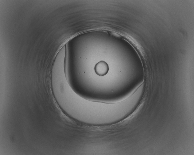 X0000116581001200912241650