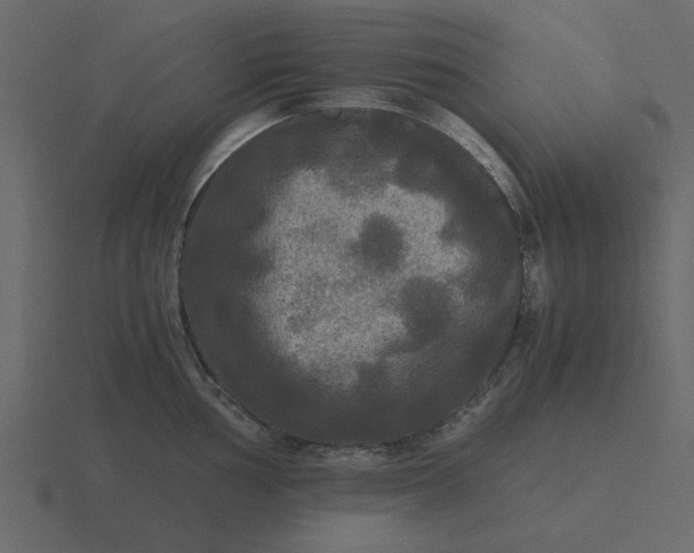 X0000116581002200912241650