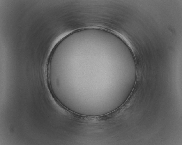 X0000116581003200912241650