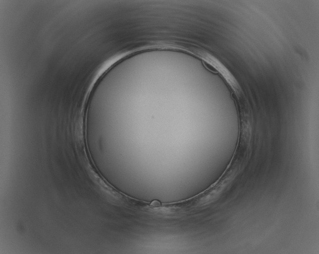 X0000116581004200912241650