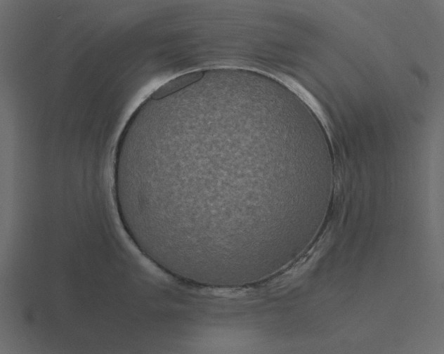 X0000116581005200912241650