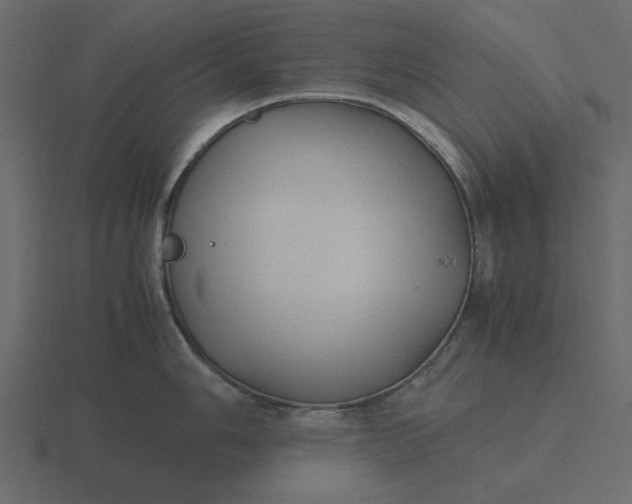 X0000116581006200912241650