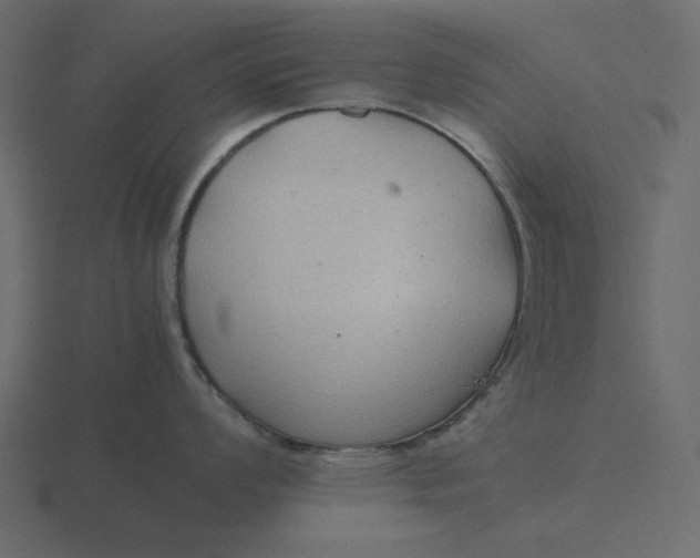 X0000116581008200912241650