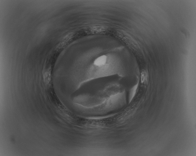 X0000116581011200912241650