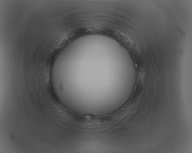 X0000116581012200912241650