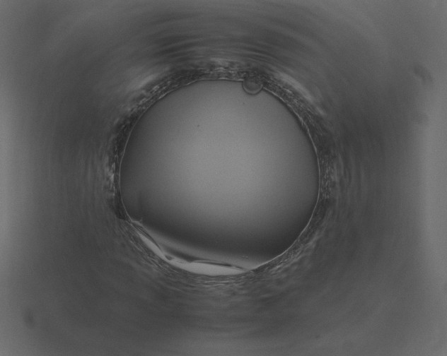 X0000116581013200912241650