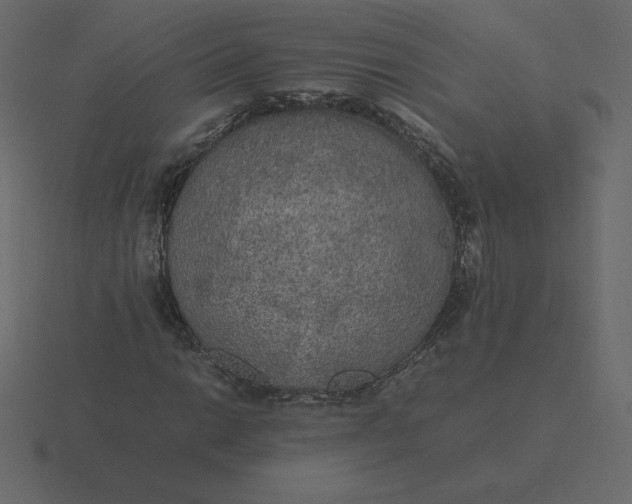 X0000116581014200912241650