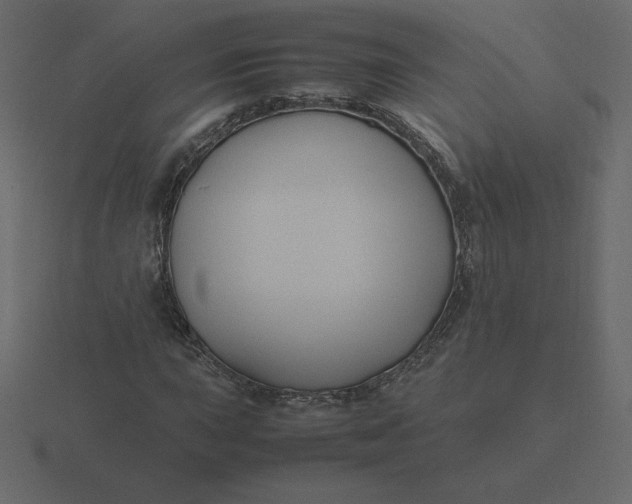 X0000116581015200912241650