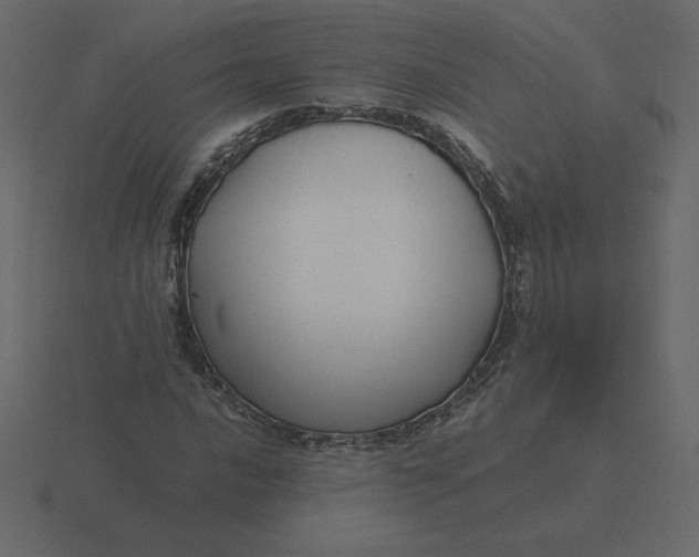 X0000116581016200912241650