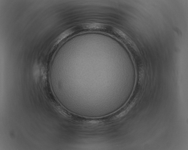 X0000116581017200912241650