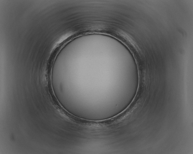 X0000116581018200912241650