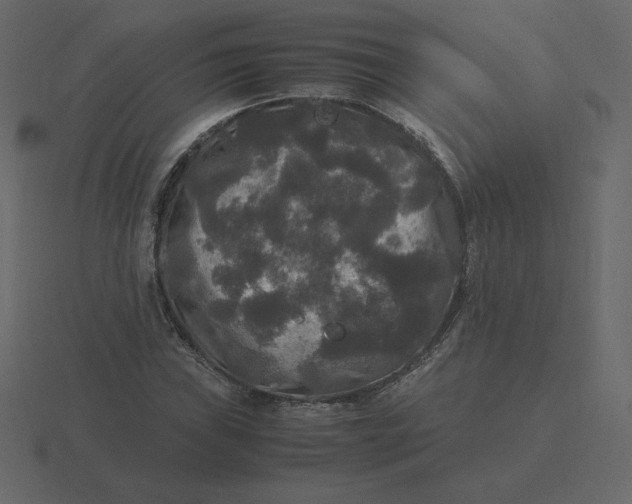 X0000116581019200912241650