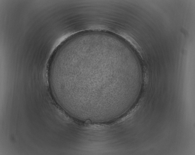 X0000116581022200912241650