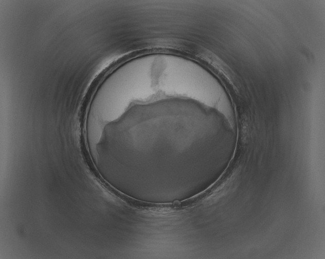 X0000116581024200912241650