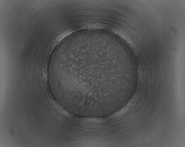 X0000116581025200912241650