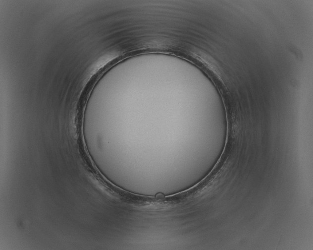 X0000116581026200912241650