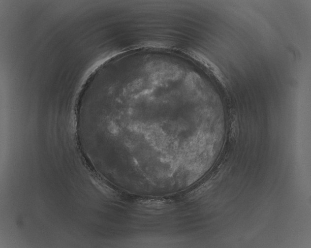 X0000116581027200912241650