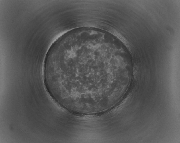 X0000116581028200912241650