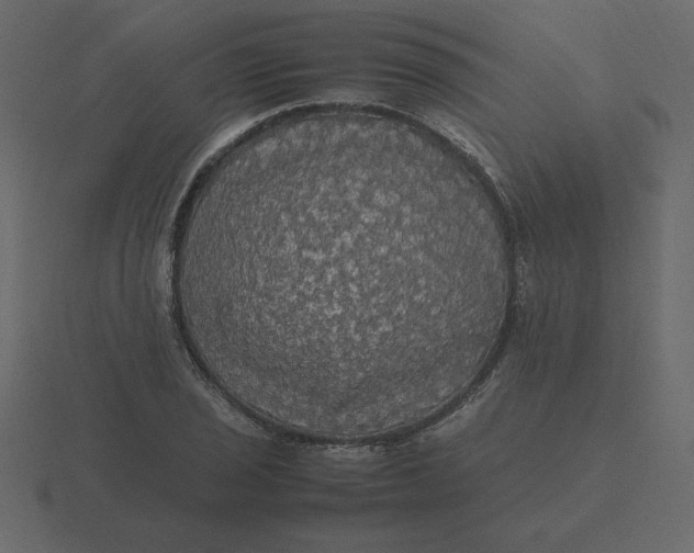 X0000116581029200912241650