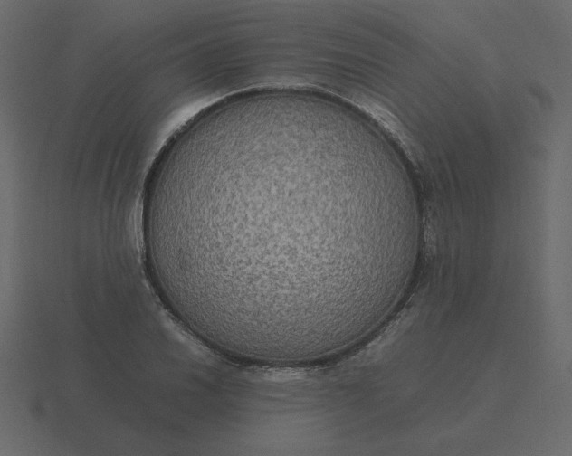 X0000116581030200912241650