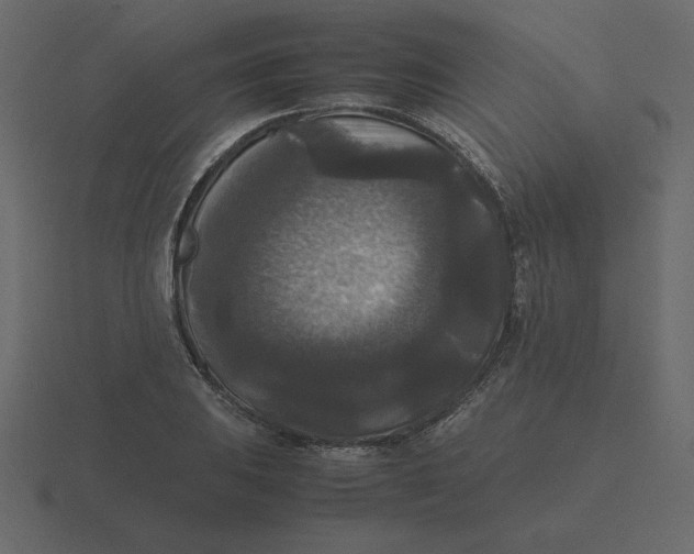 X0000116581031200912241650