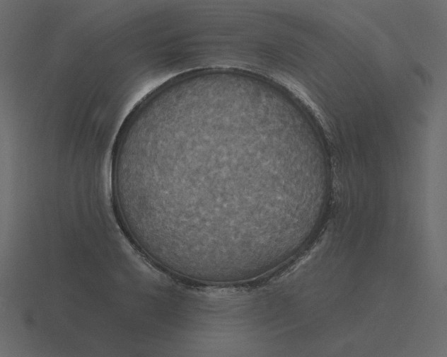 X0000116581032200912241650