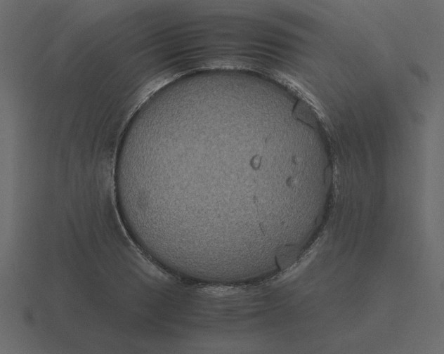 X0000116581033200912241650