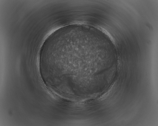 X0000116581035200912241650