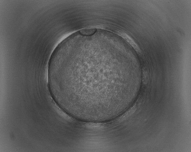 X0000116581036200912241650