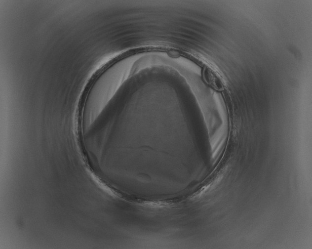 X0000116581037200912241650