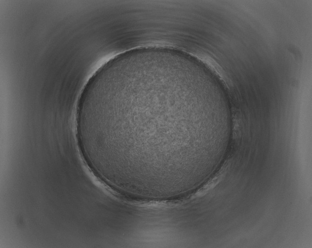 X0000116581038200912241650