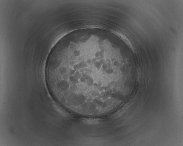 X0000116581039200912241650