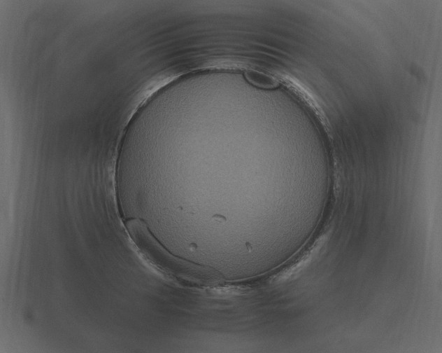 X0000116581041200912241650