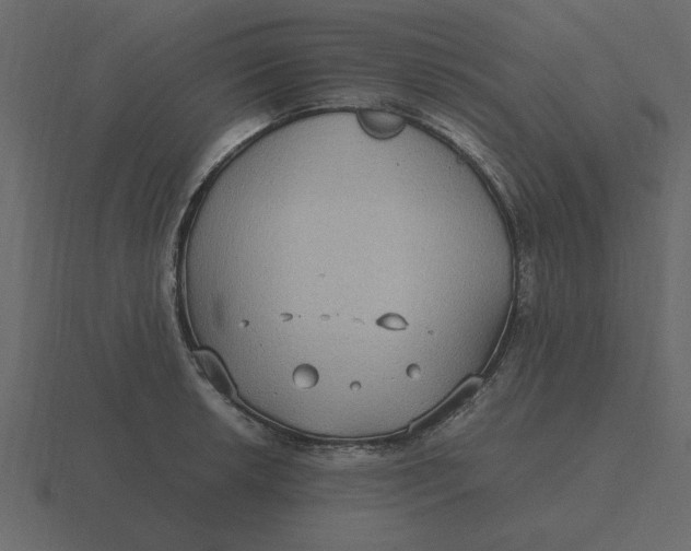 X0000116581042200912241650