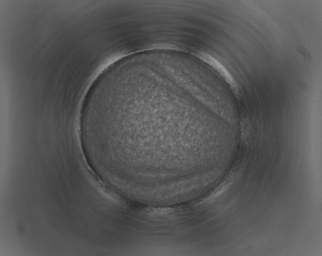 X0000116581043200912241650