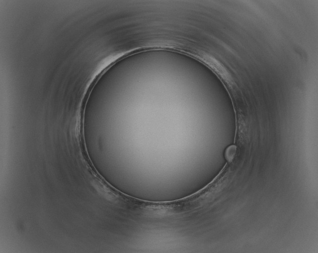 X0000116581044200912241650