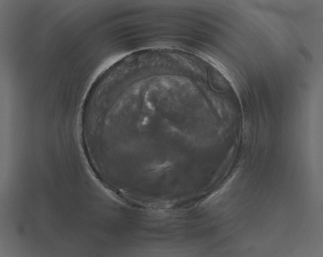 X0000116581045200912241650