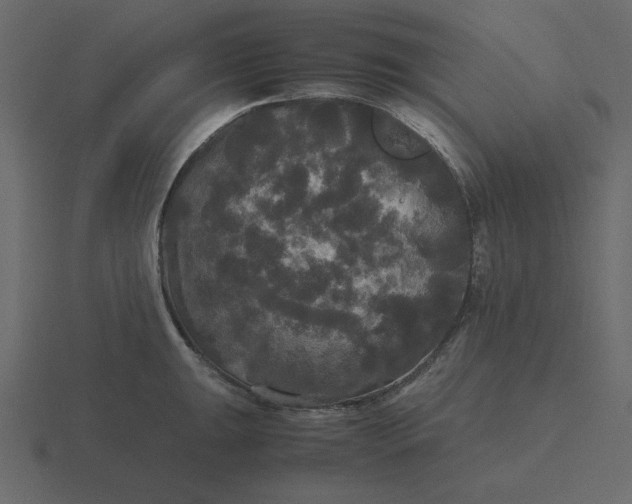 X0000116581047200912241650