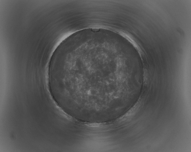 X0000116581048200912241650