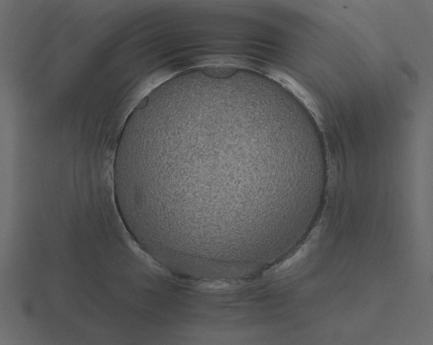 X0000116581049200912241650