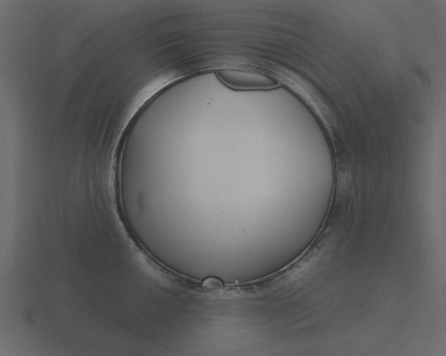 X0000116581050200912241650