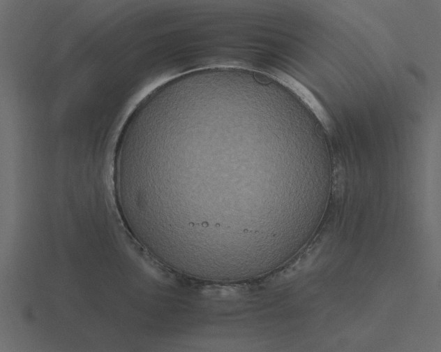 X0000116581051200912241650