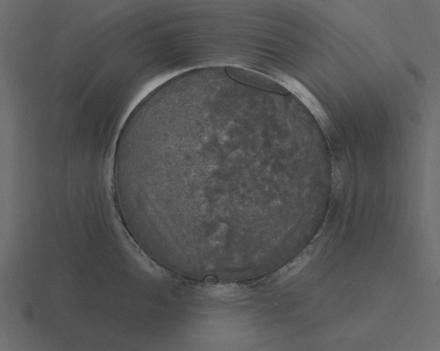 X0000116581052200912241650