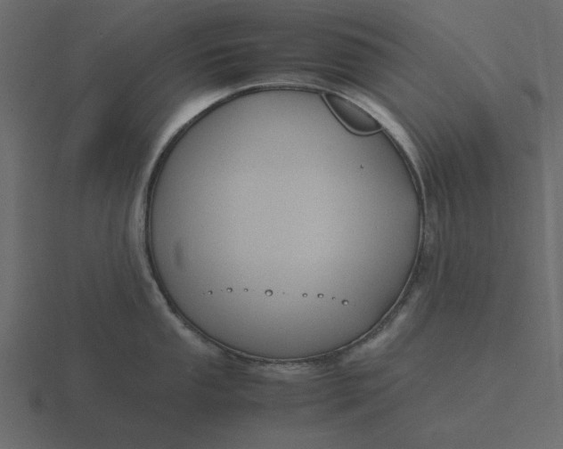 X0000116581053200912241650