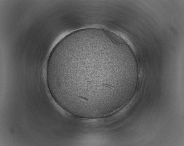 X0000116581054200912241650