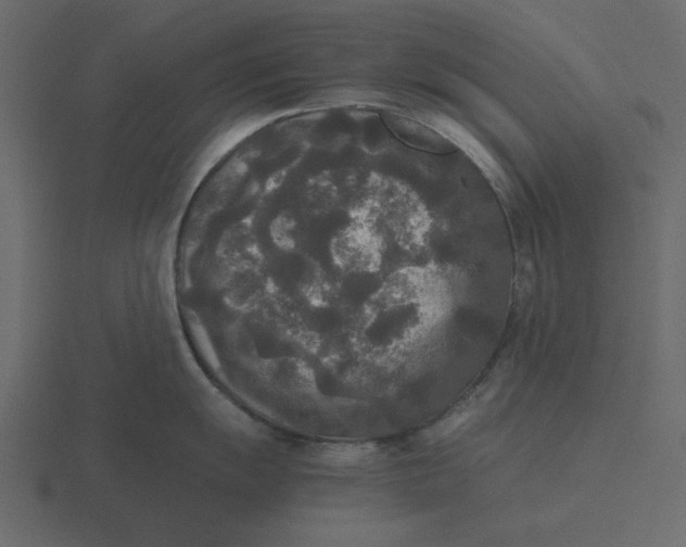 X0000116581055200912241650