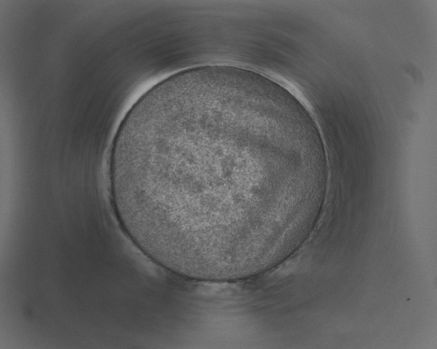 X0000116581056200912241650