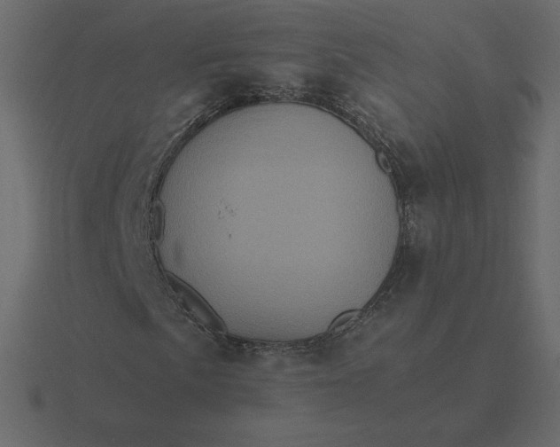 X0000116581057200912241650